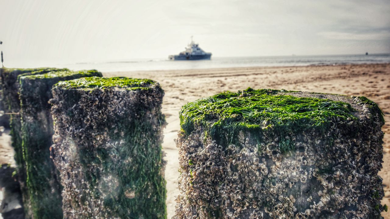 Vlissingen strand paaltjes