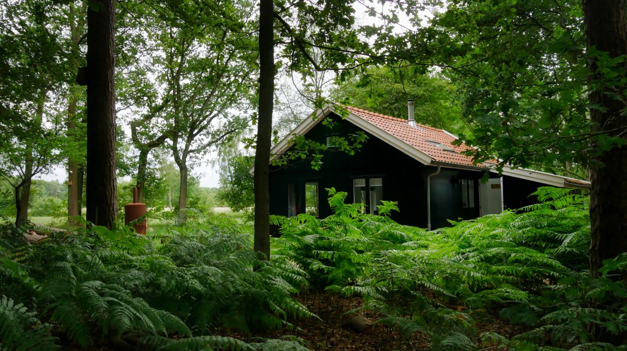 De Bottelroos privé wellness in het bos6