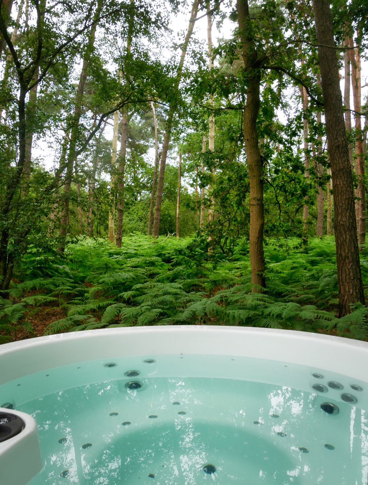 De Bottelroos privé wellness in het bos bubbelbad licht