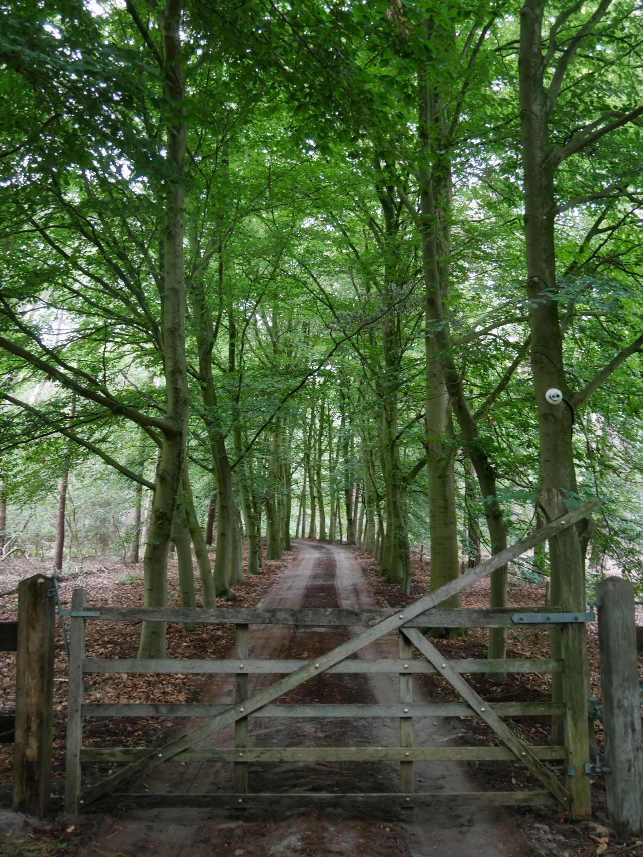 De Bottelroos privé wellness in het bos ingang2