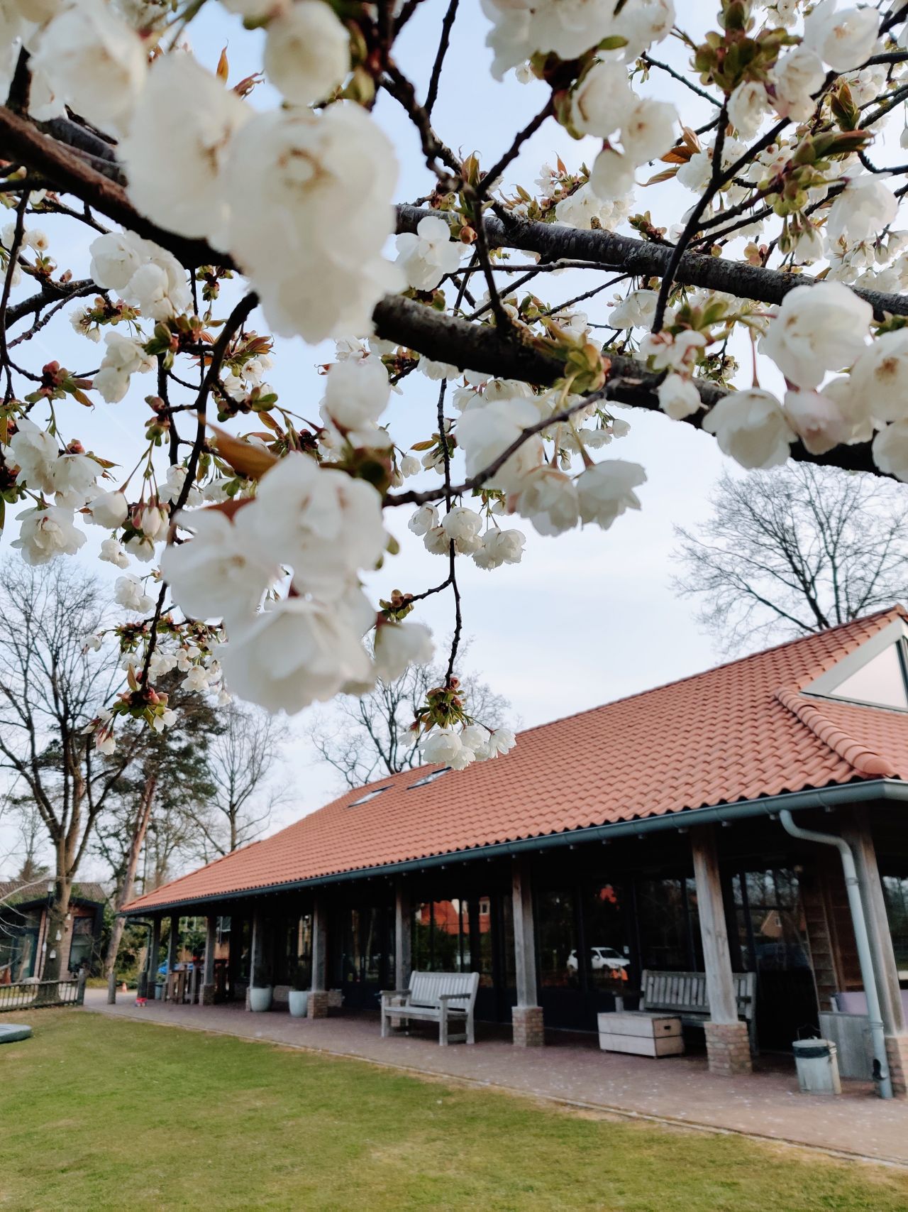 Vakantiepark Erve Kleilutte kleinschalig 7