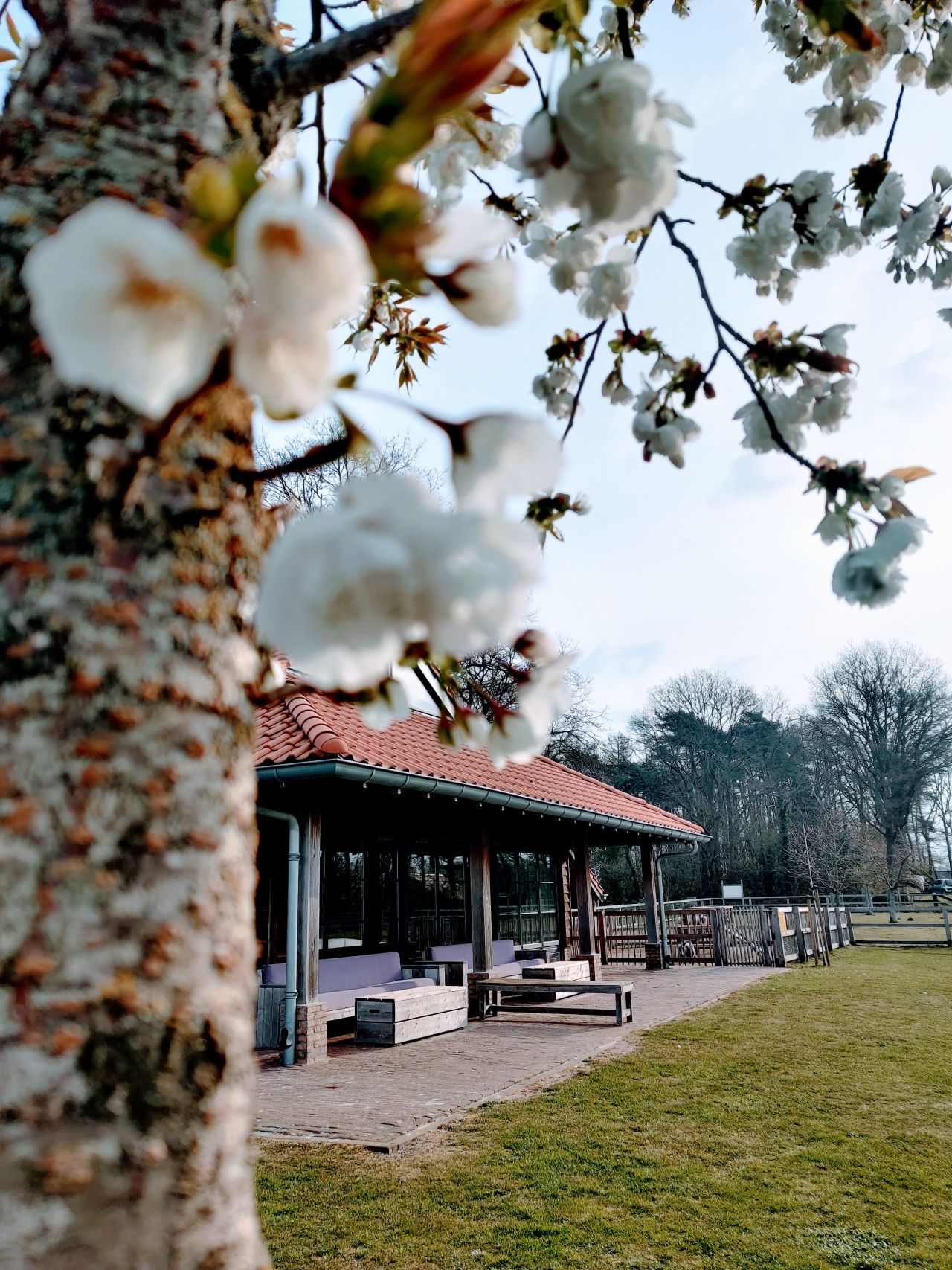 Vakantiepark Erve Kleilutte kleinschalig 8