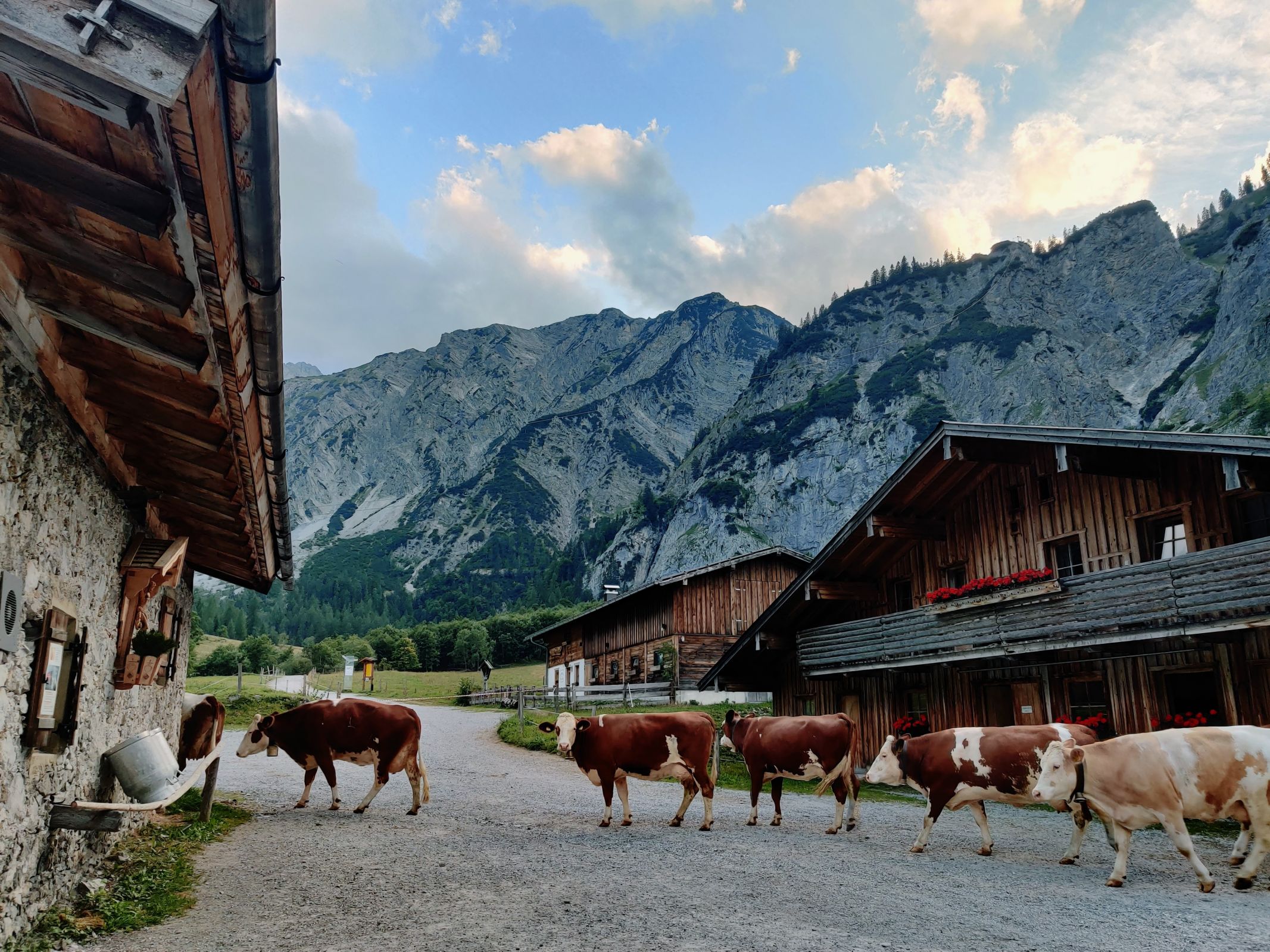 Gramai Alm Oostenrijk natuur hotel 13