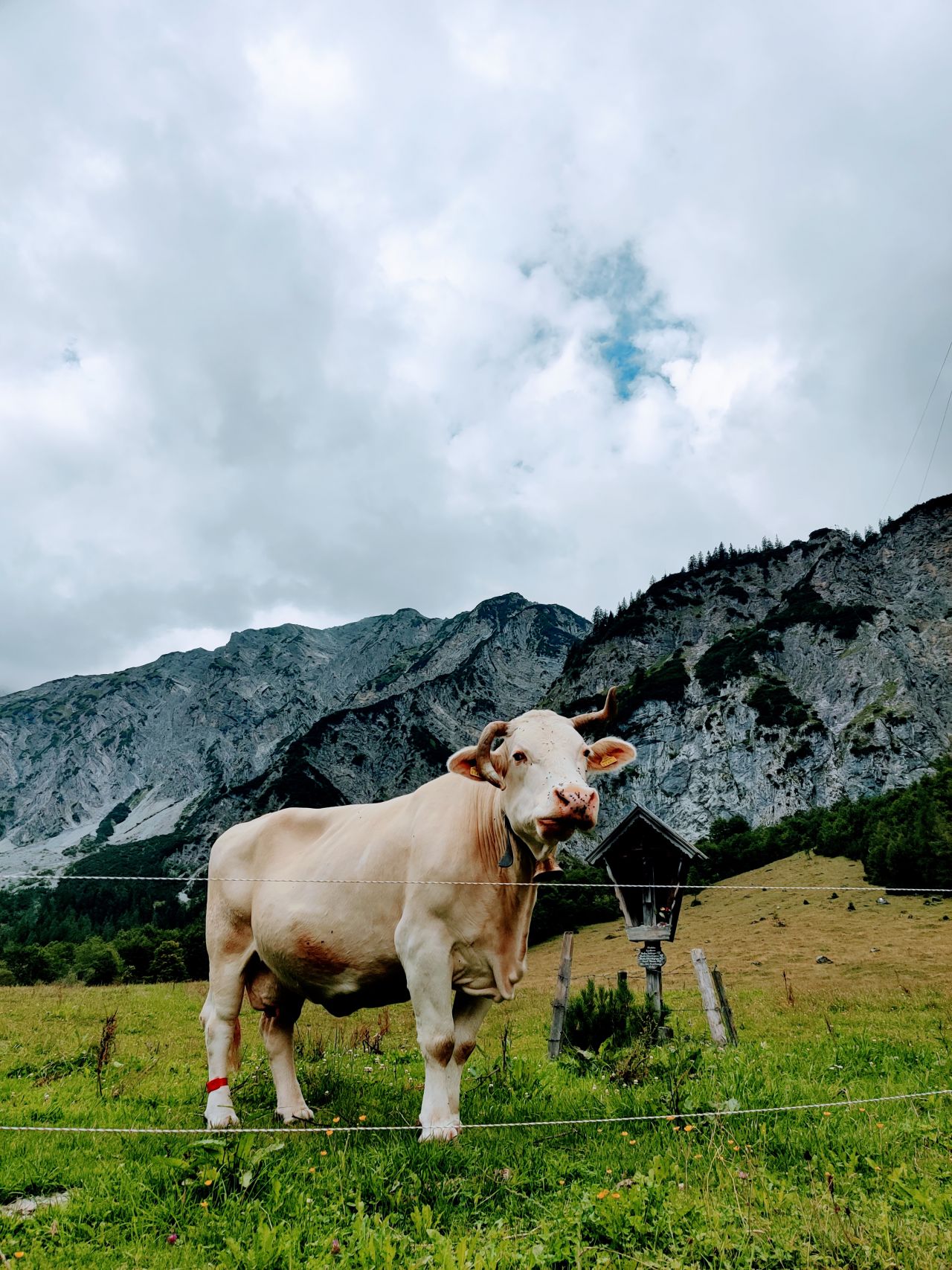 Gramai Alm Oostenrijk natuur hotel 7