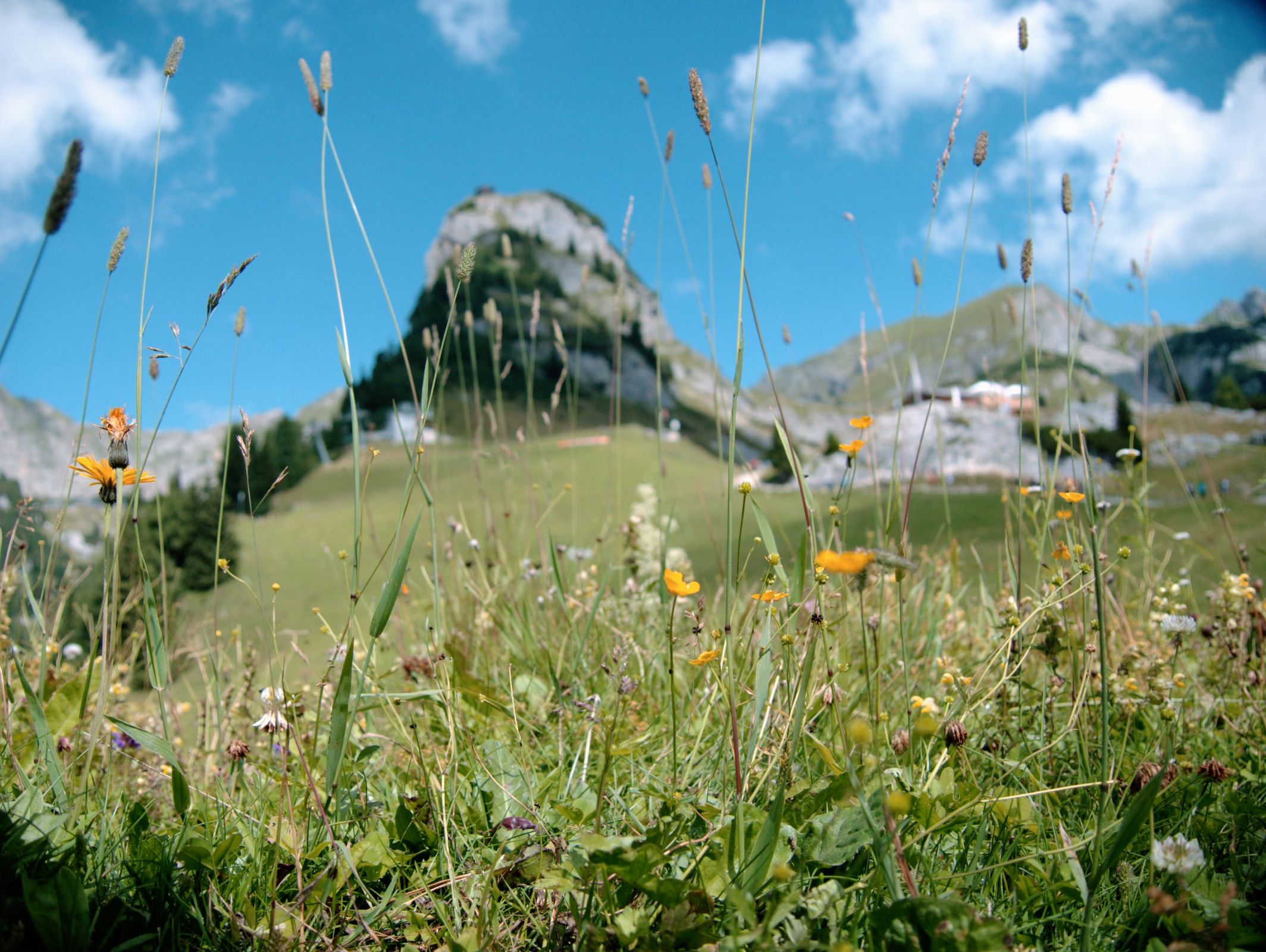 Pertisau Achensee Tirol Oostenrijk 42