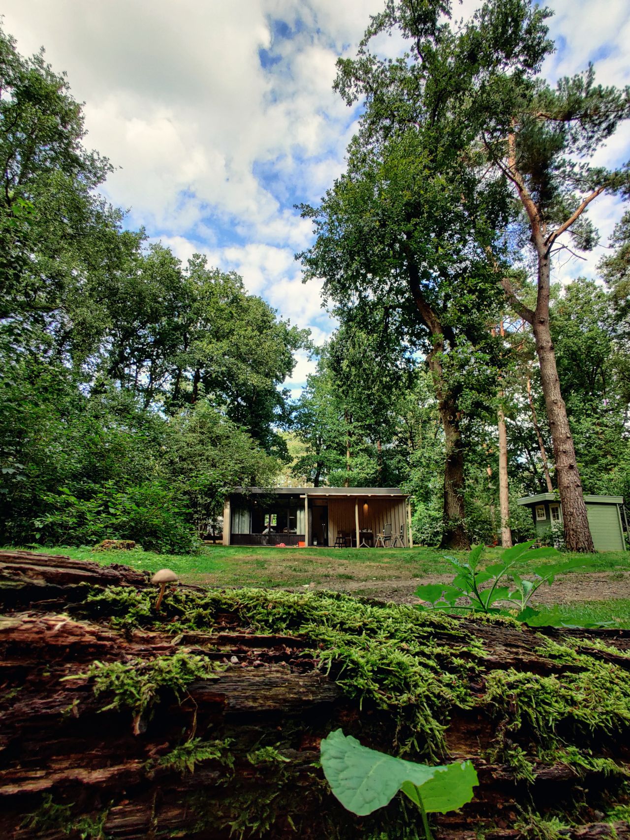 Camping In De Rimboe Huisje Blackbird8