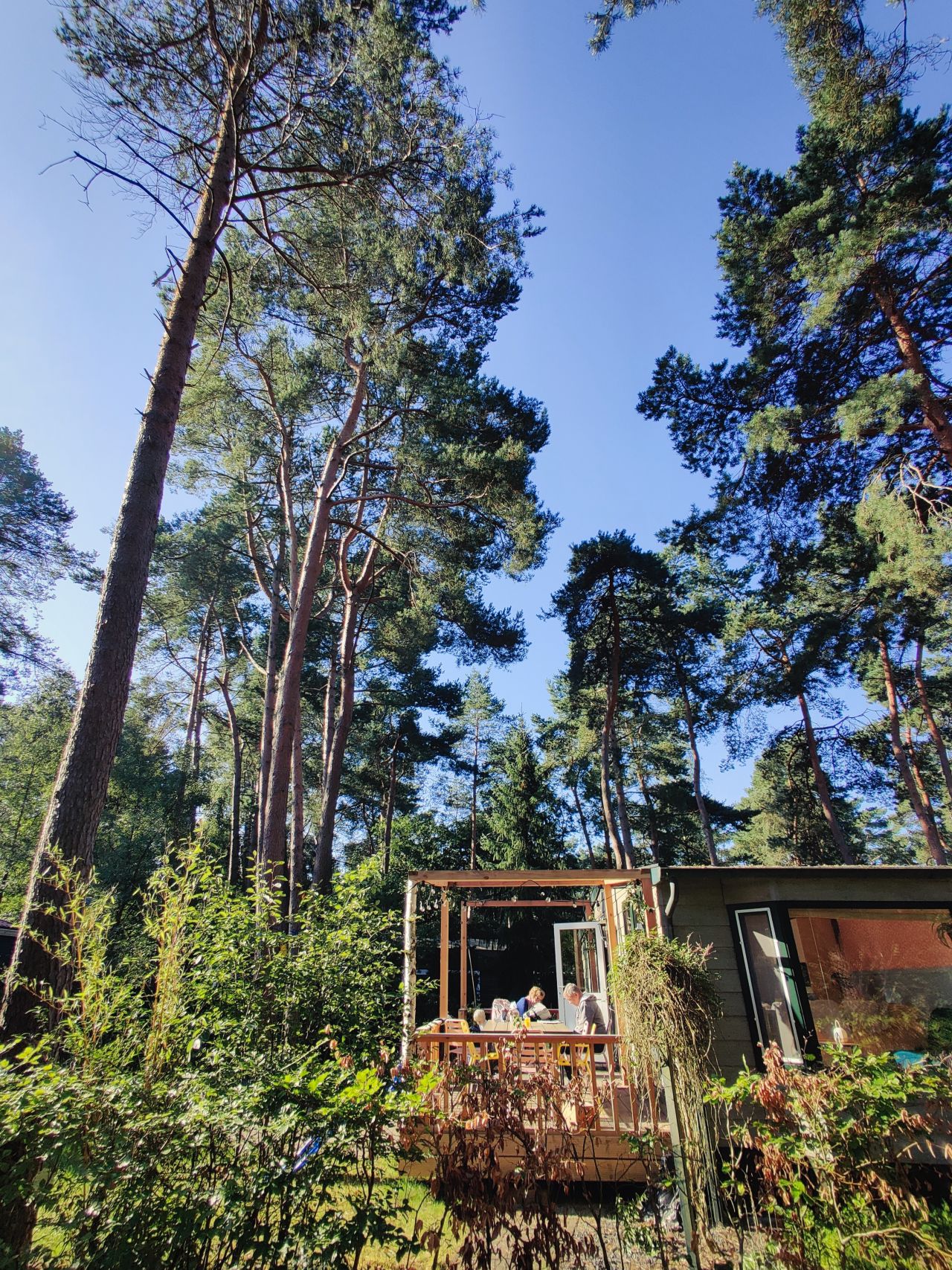 Camping In De Rimboe stacaravan De Tuinkers terras