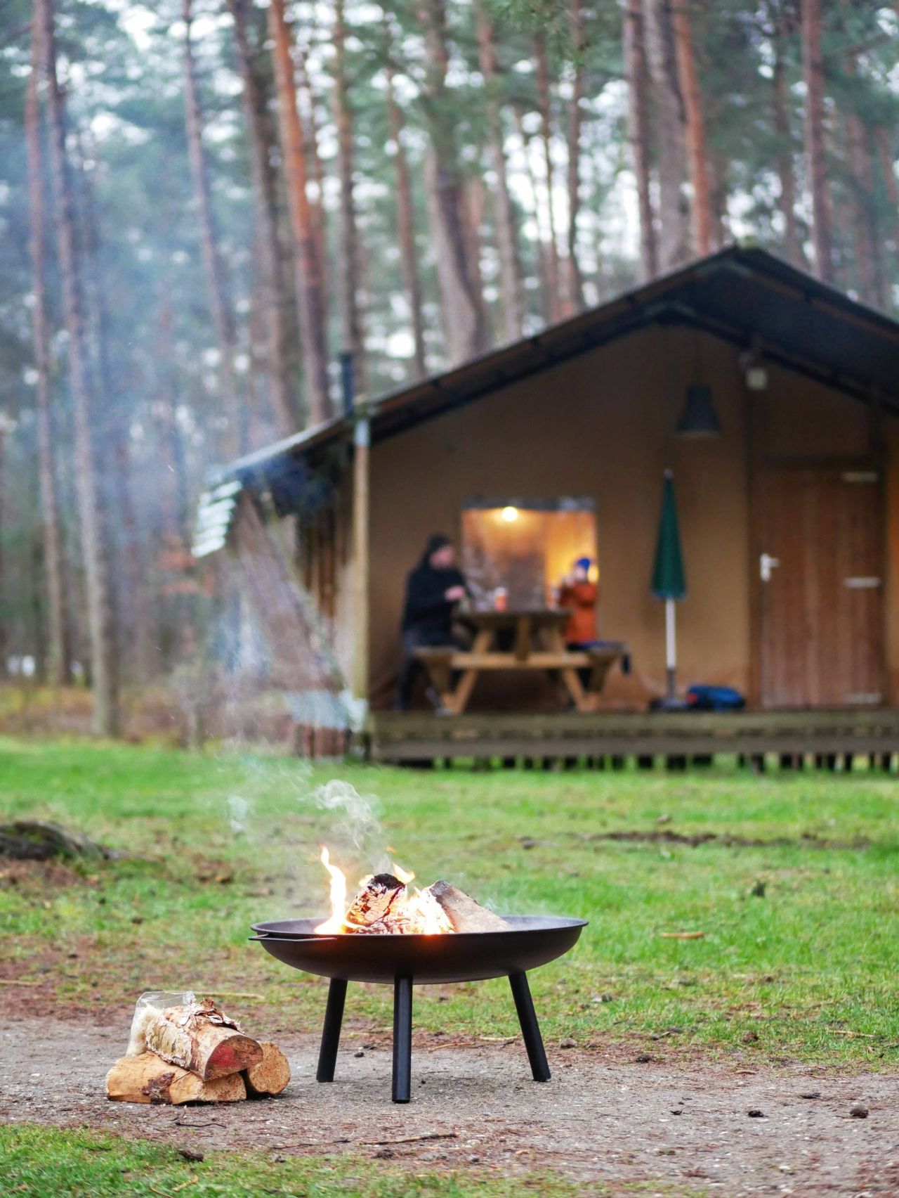 Landal Coldenhove camping 1