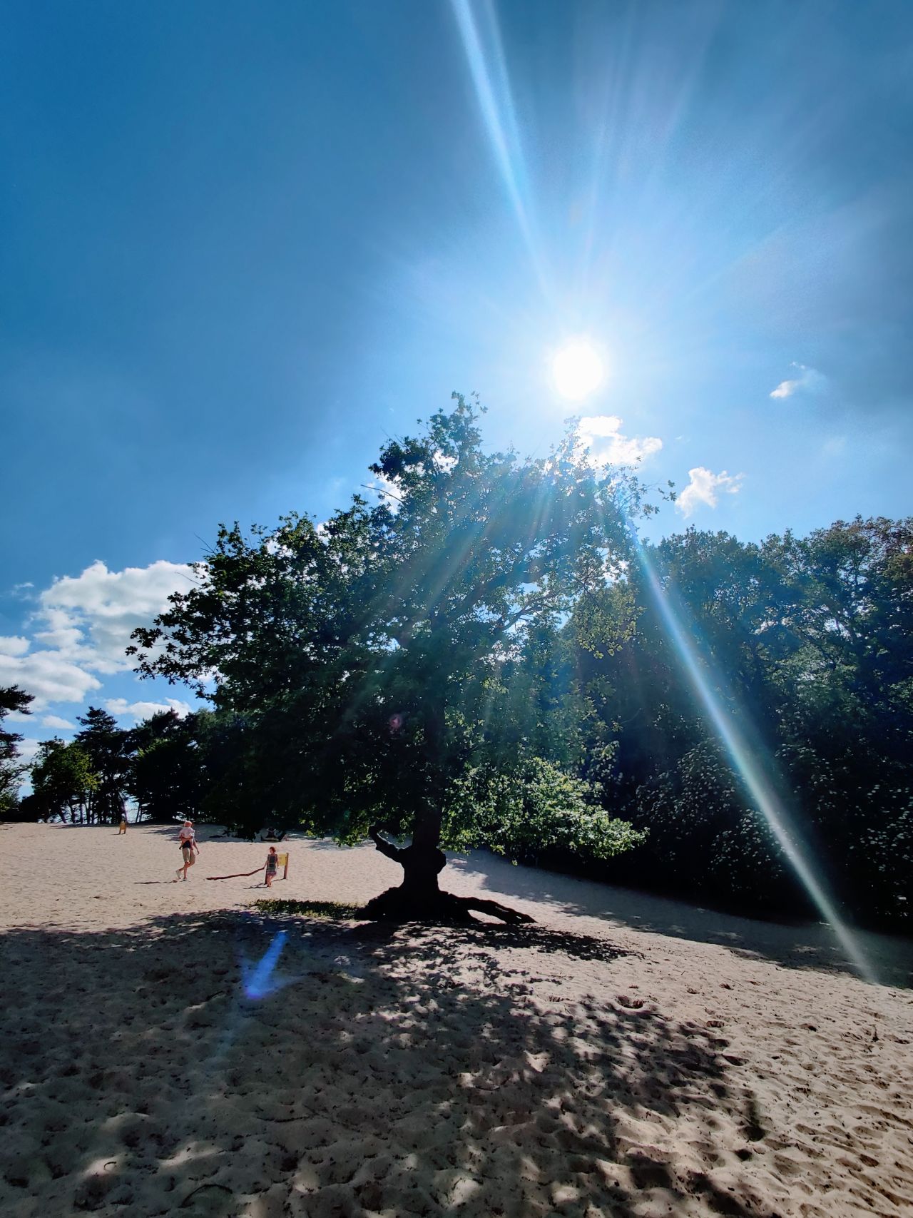 Landal Kaatsheuvel Loonse en Drunense Duinen 16