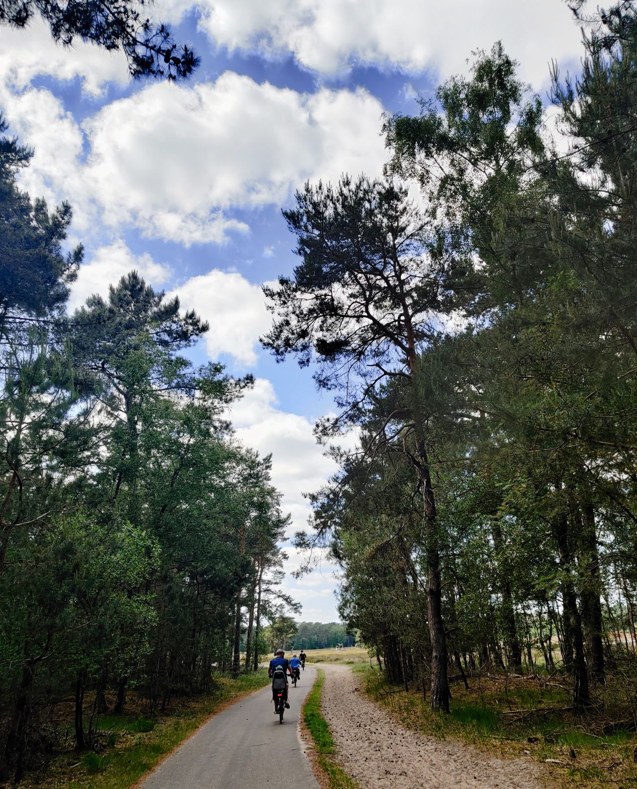 Landal Kaatsheuvel Loonse en Drunense Duinen fietsen