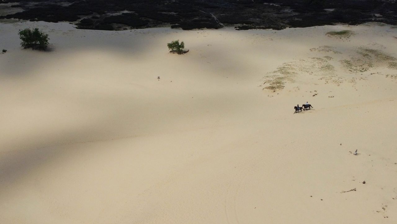 Landal Kaatsheuvel Loonse en Drunense Duinen paardrijden2