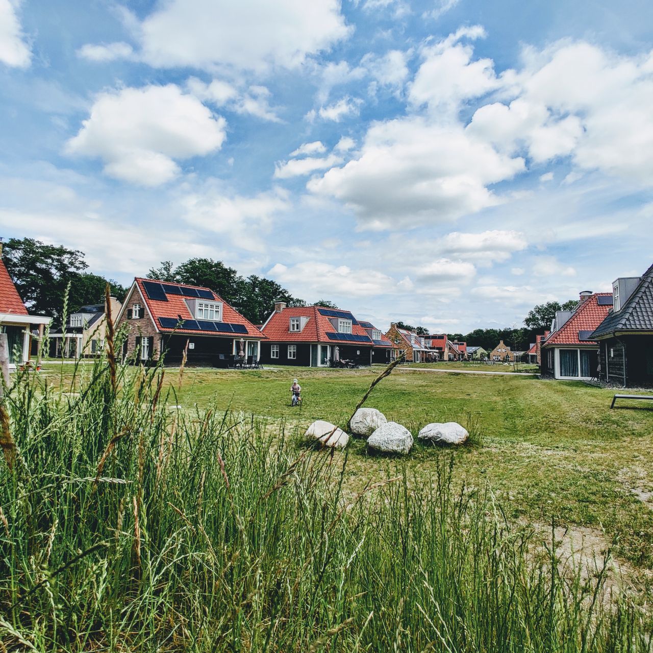 Landal Kaatsheuvel vakantiepark speelweide