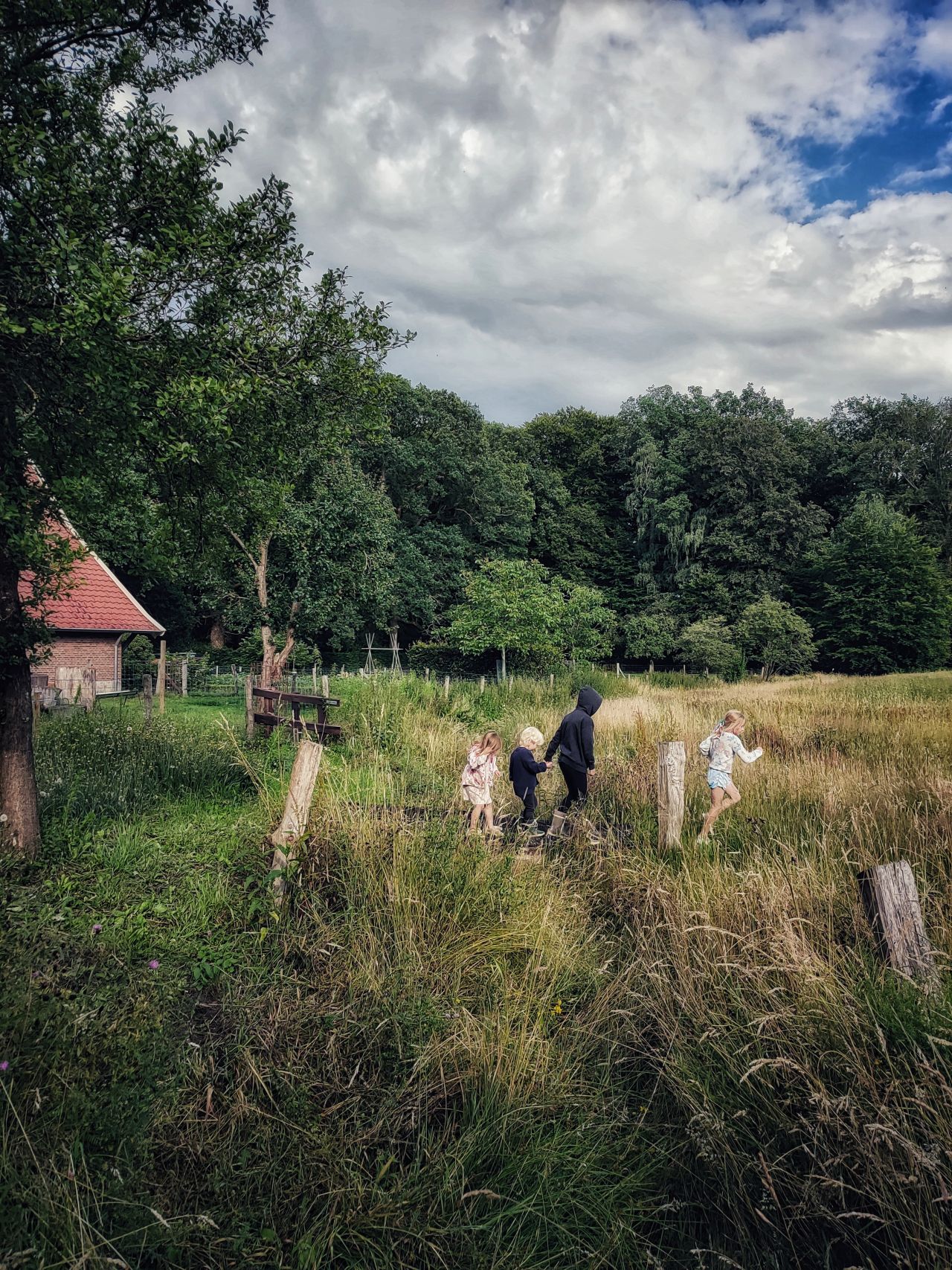 OP10 Boerderijlodges Delden Twente spelen2