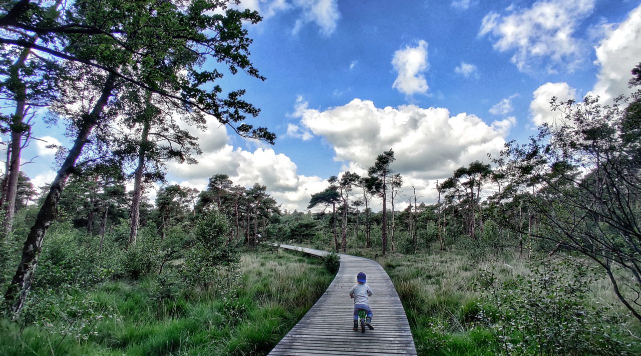 OP10 Boerderijlodges Delden Twente vlonderpad4