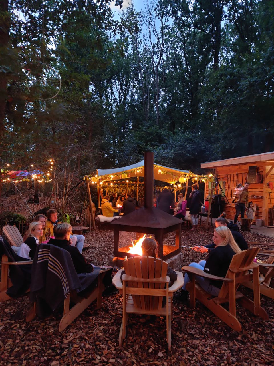 Tinyparks Tinyhouse in het bos 16