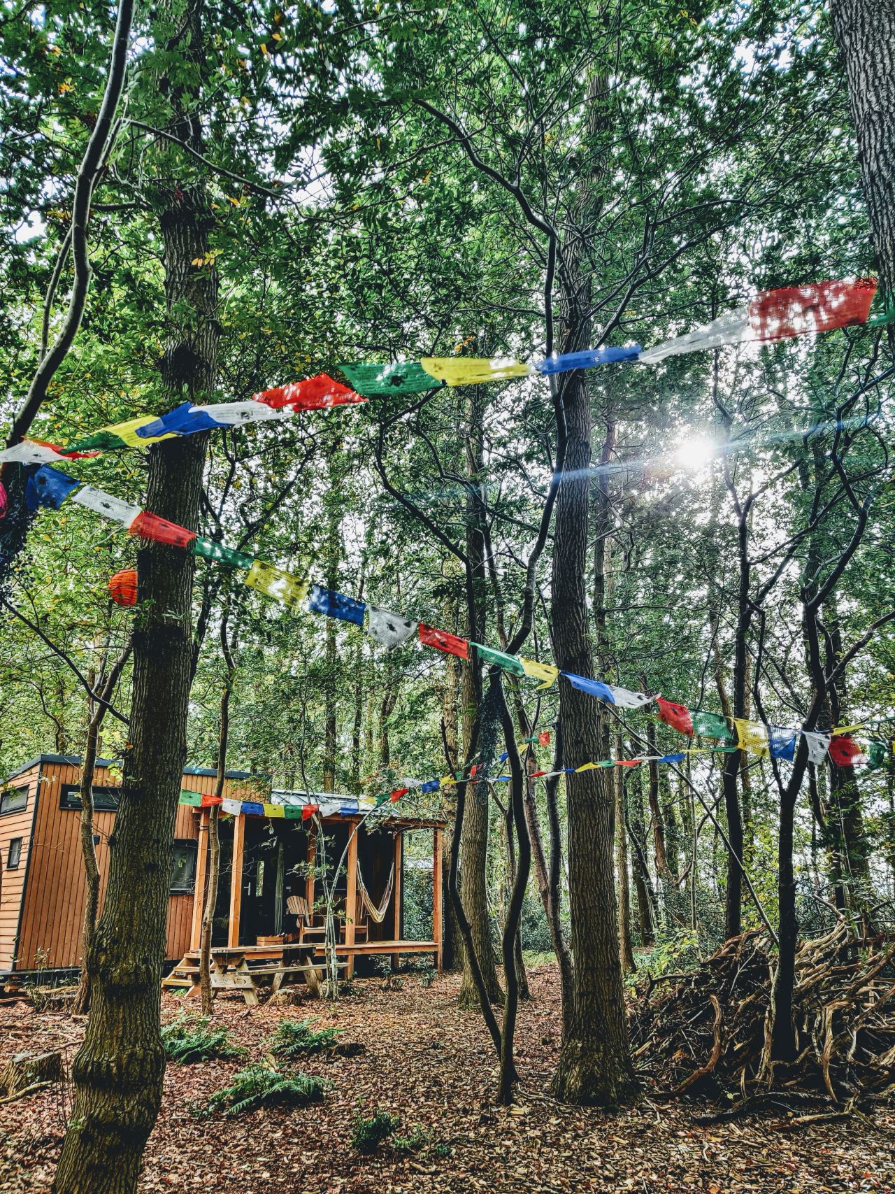 Tinyparks Tinyhouse in het bos 9