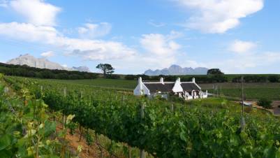 Aaldering Vineyards & Wines