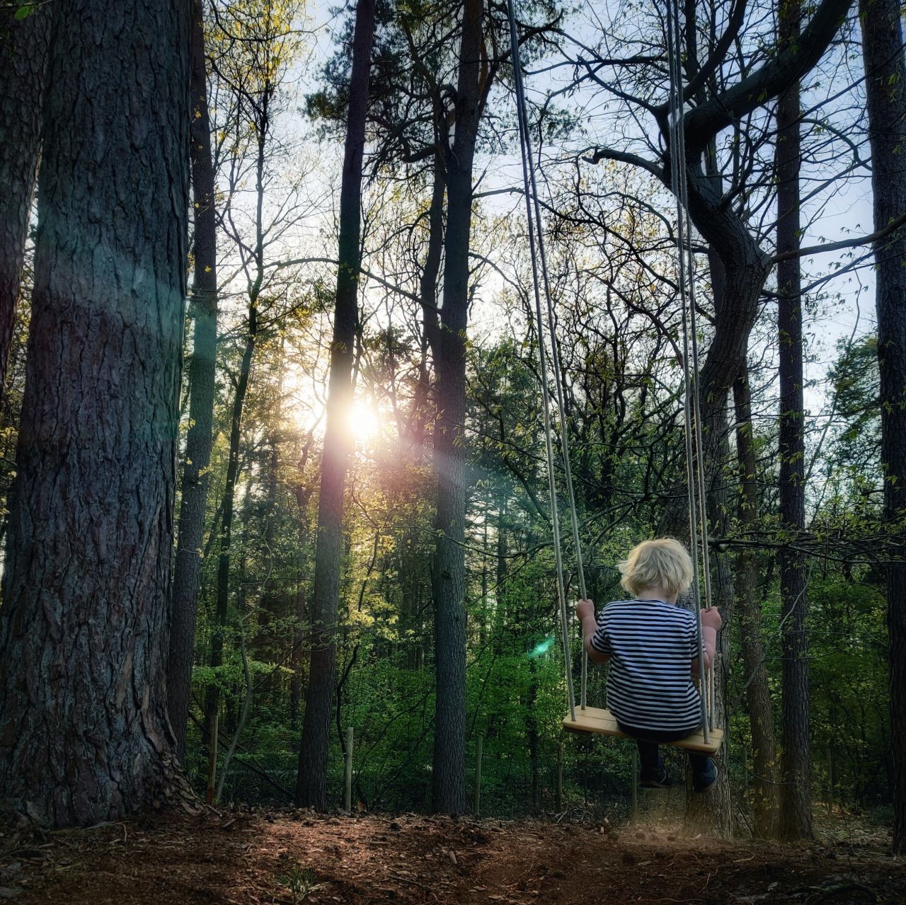 Bosvilla hygge Veluwe eigen speelbos4