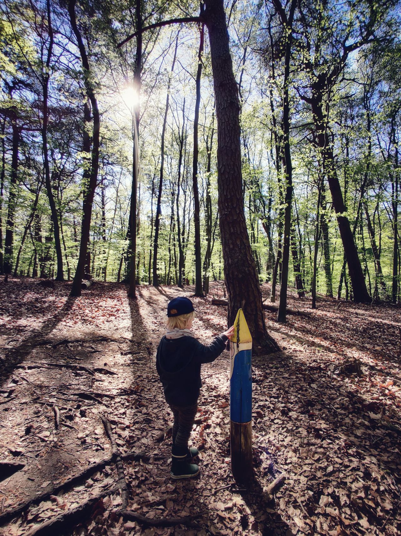 Bosvilla hygge Veluwe eigen speelbos8