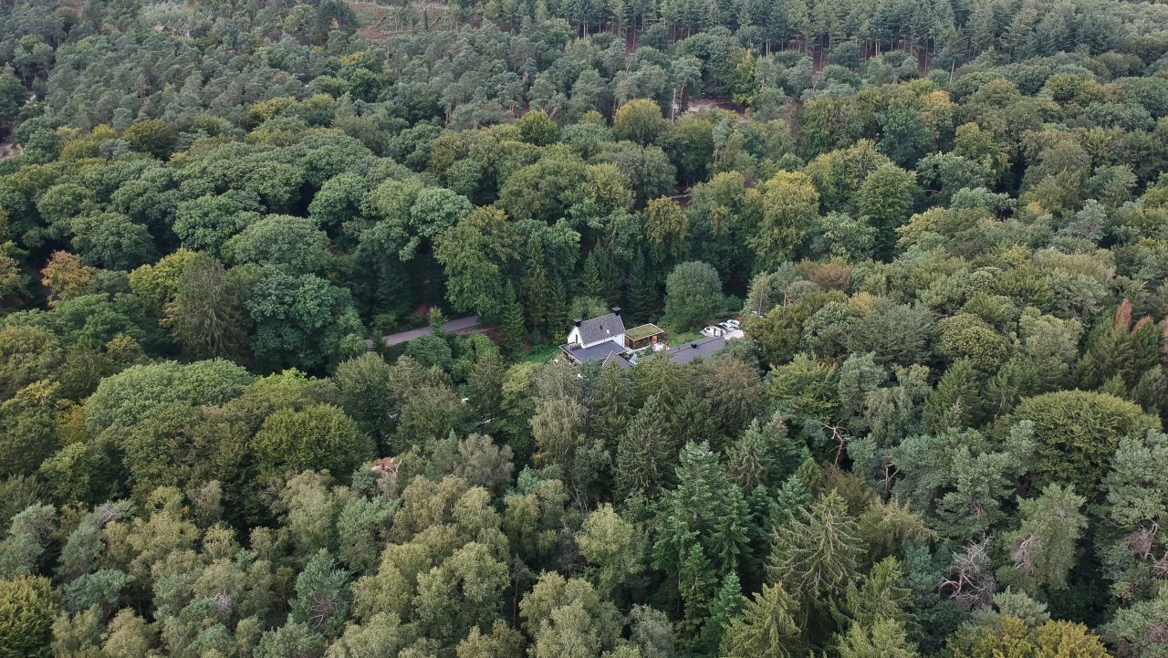 Boutique hotel Beekhuizen Veluwe bossen9