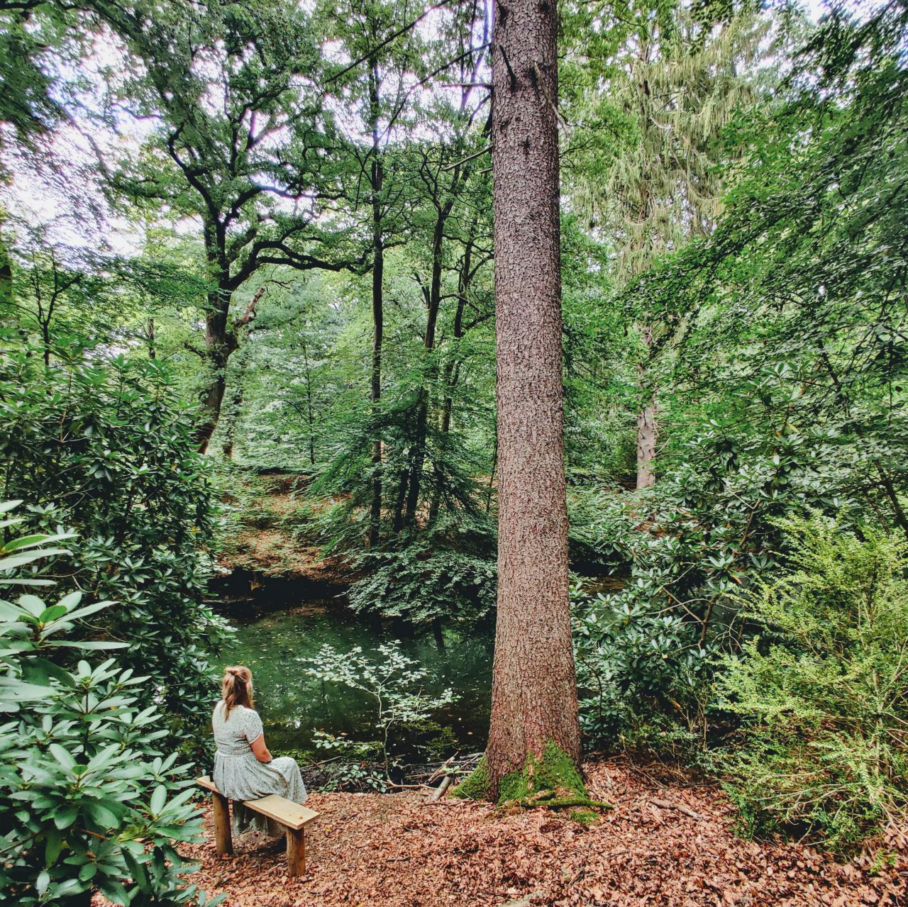 Boutique hotel Beekhuizen Veluwe bossen tuin