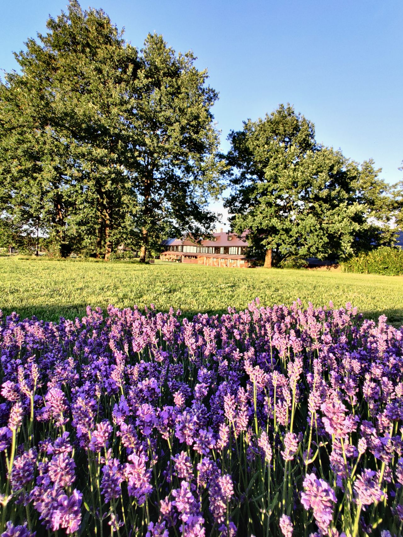 Hotel De Cantharel Apeldoorn Veluwe