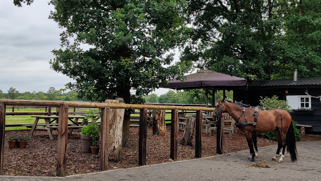 Hotel de Cantharel Apeldoorn Paardenhotel