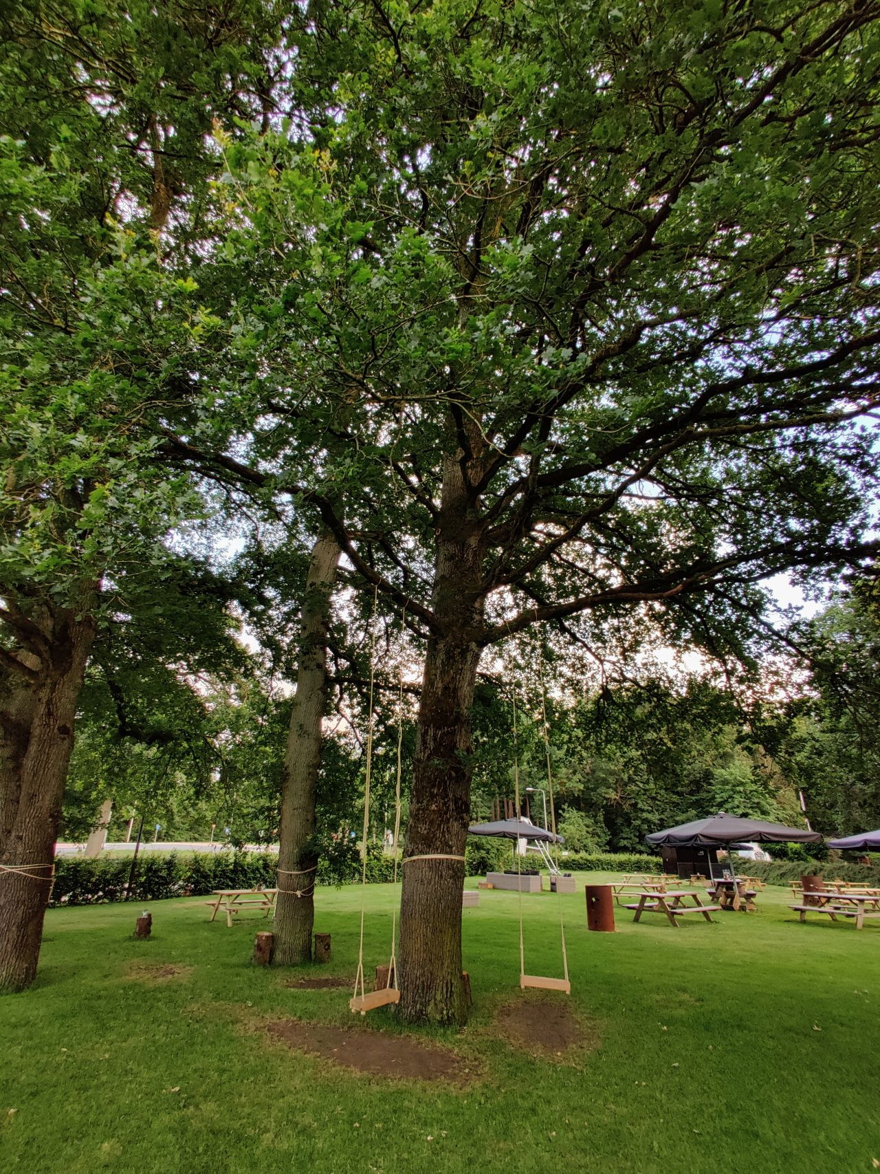 Hotel de Cantharel Apeldoorn picknicktuin2