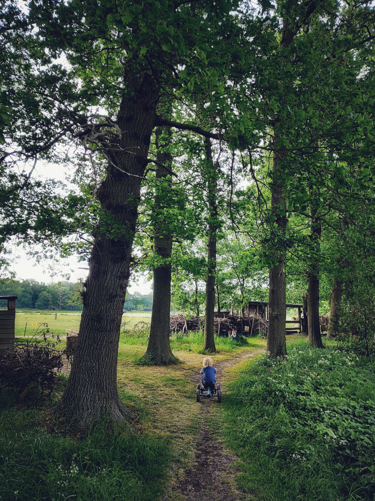 De Kleine Wildenberg Deventer bossen