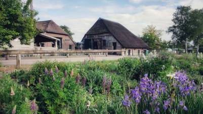 De Kleine Wildenberg