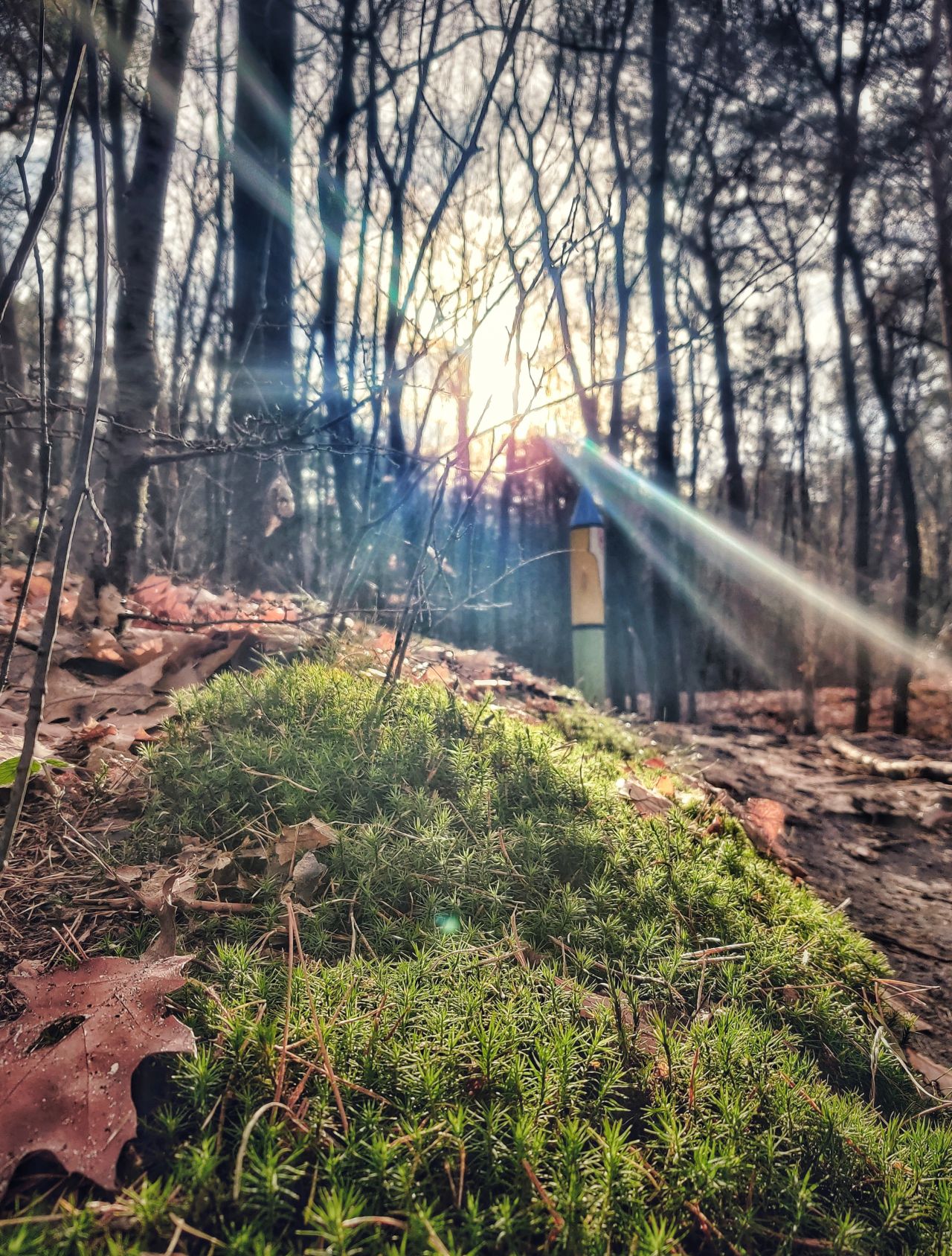 Huize Hulshorst Nunspeet Veluwe kabouterpad