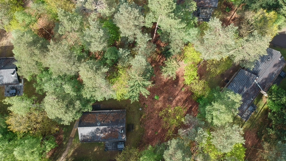 Landal Rabbit Hill Veluwe huisjes4