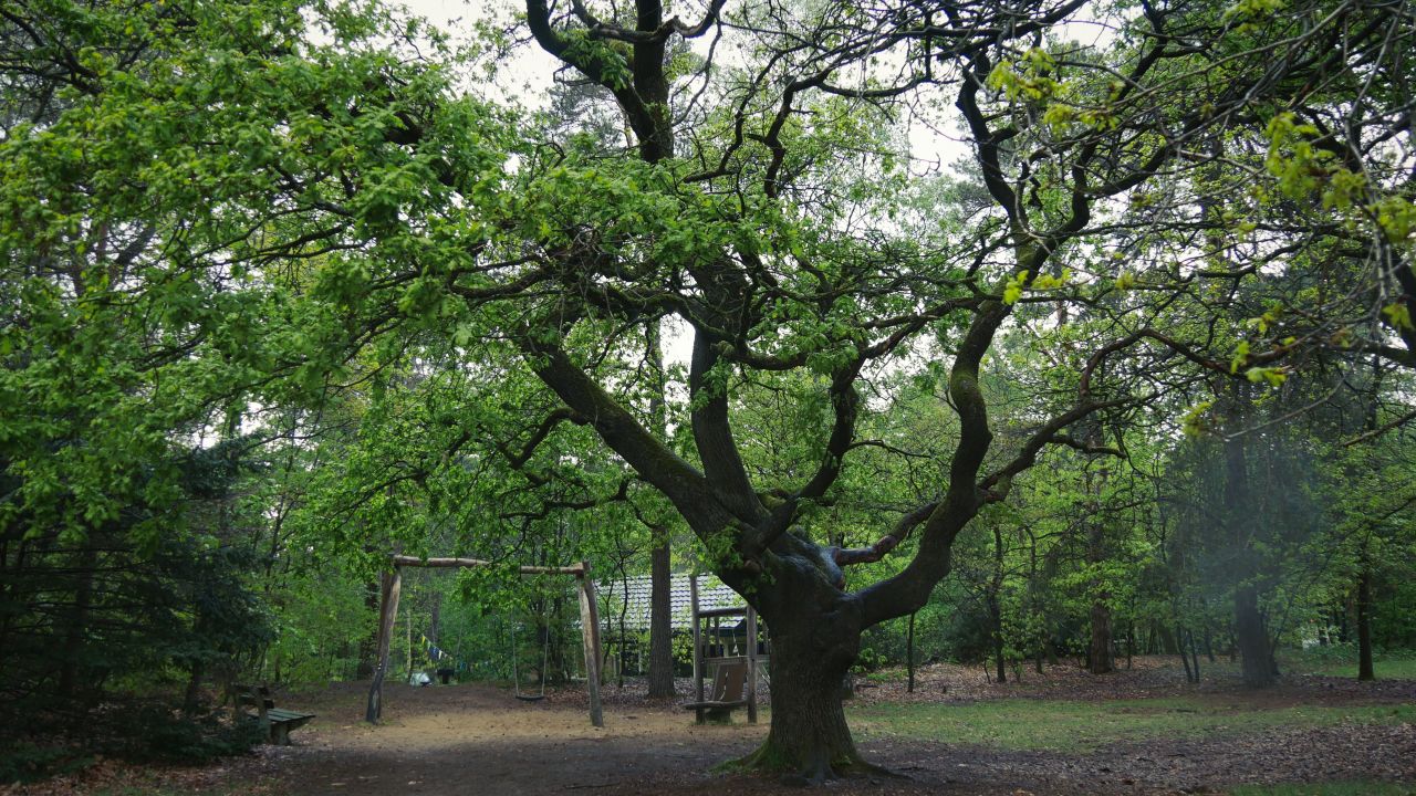 Landal Rabbit Hill Veluwe speeltuin2