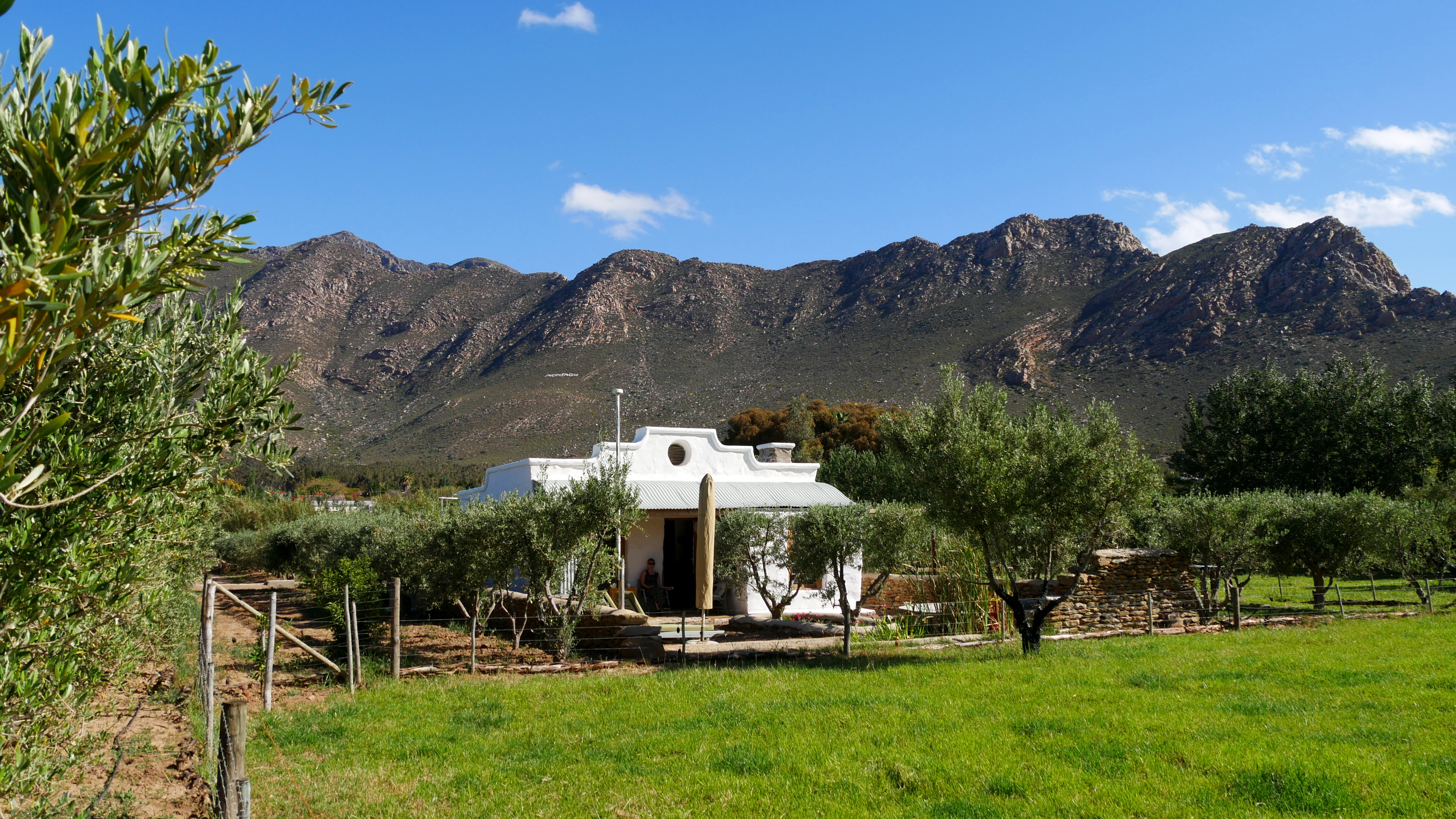 Olive Stone Farm cottage Montagu mountains