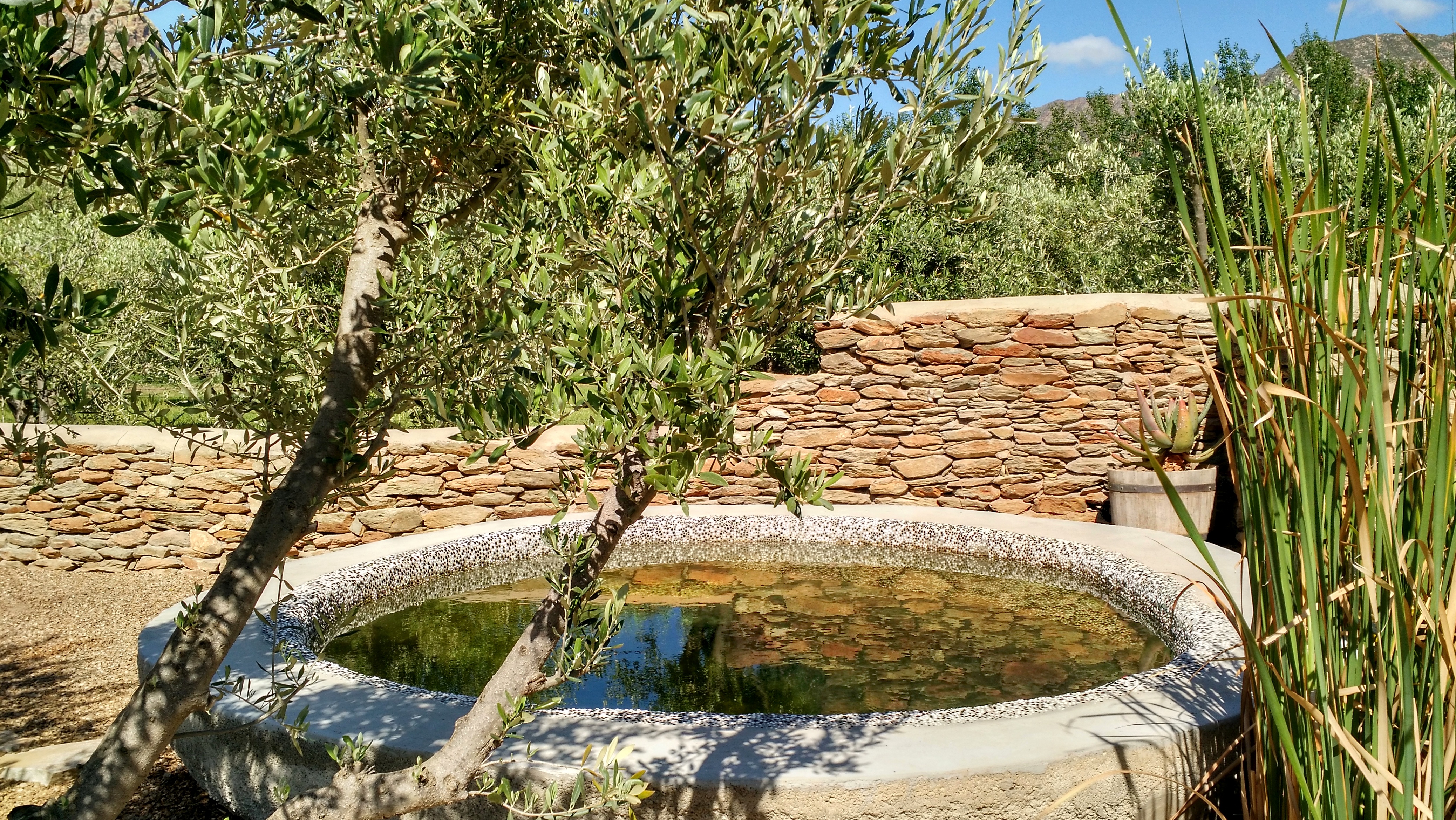 Olive Stone Farm cottage Montagu private pool