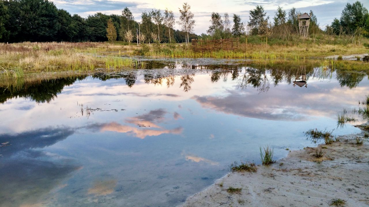 Landal Orvelte Drenthe natuur