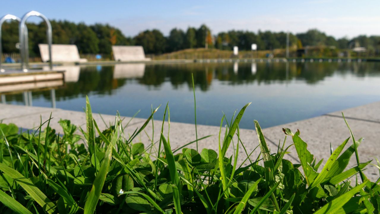 Landal Orvelte natuur zwembad