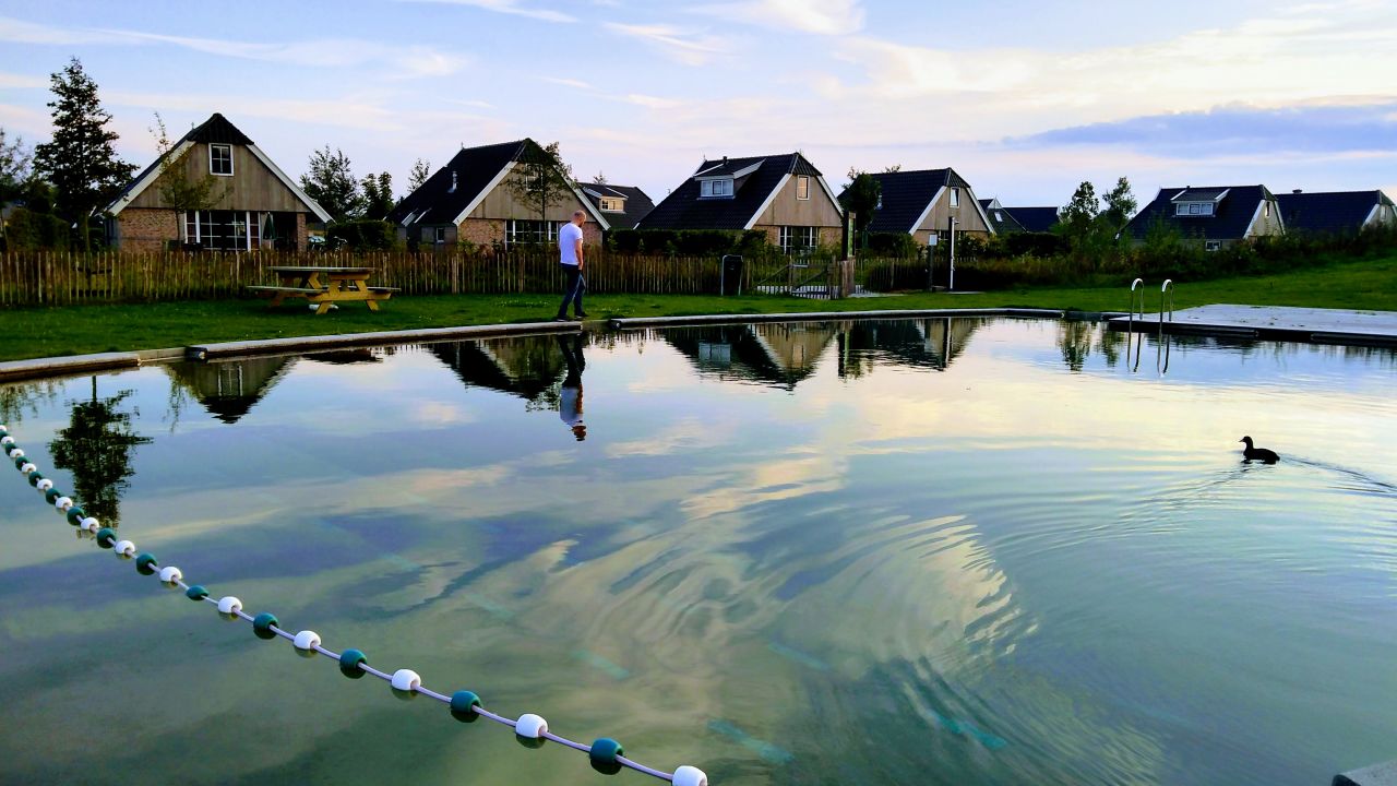 Vakantiepark Landal natuur zwembad