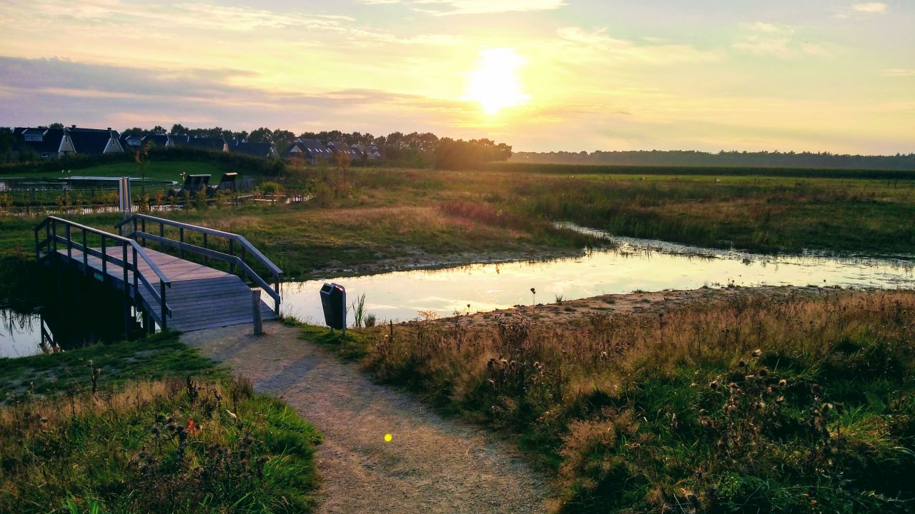 vakantiepark Landal Drenthe natuur