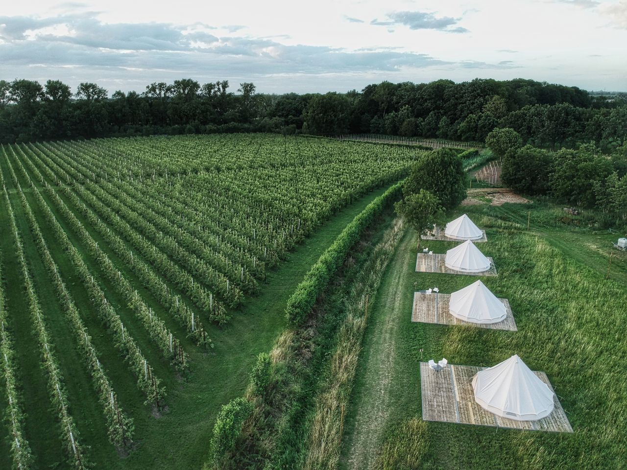 Castle Glamping Slot Doddendael3