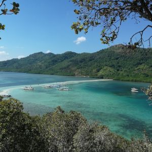snake island