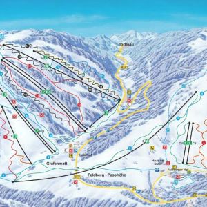 feldberg