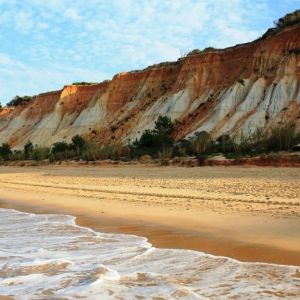 praiadafalesia