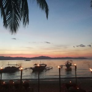 foto vanuit coconut tree