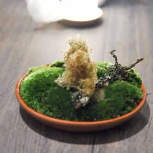 NOma