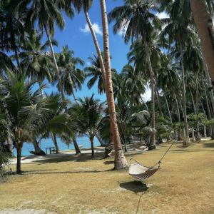 white beach 2