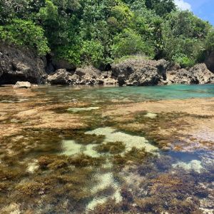 Magpupungko pool 2