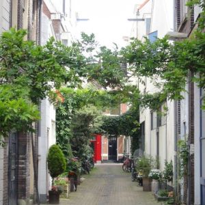 haarlem hofjes