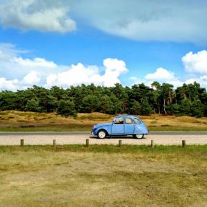 Veluwe 2CV oldtimer natuur eigen land