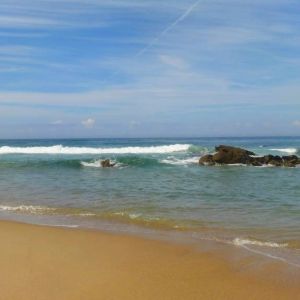 DSC05433